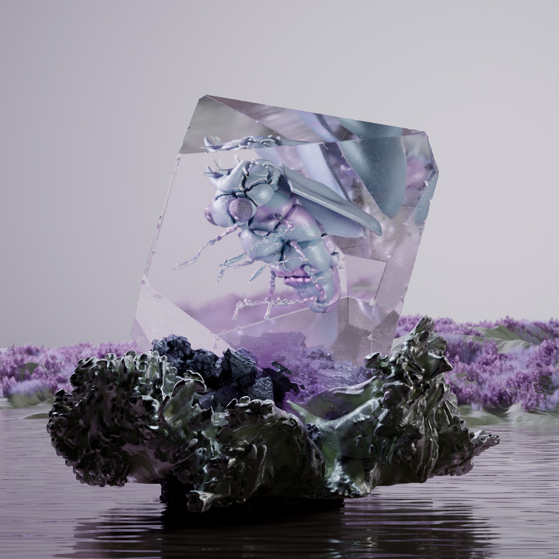 Lepidopterapinguis cabuco