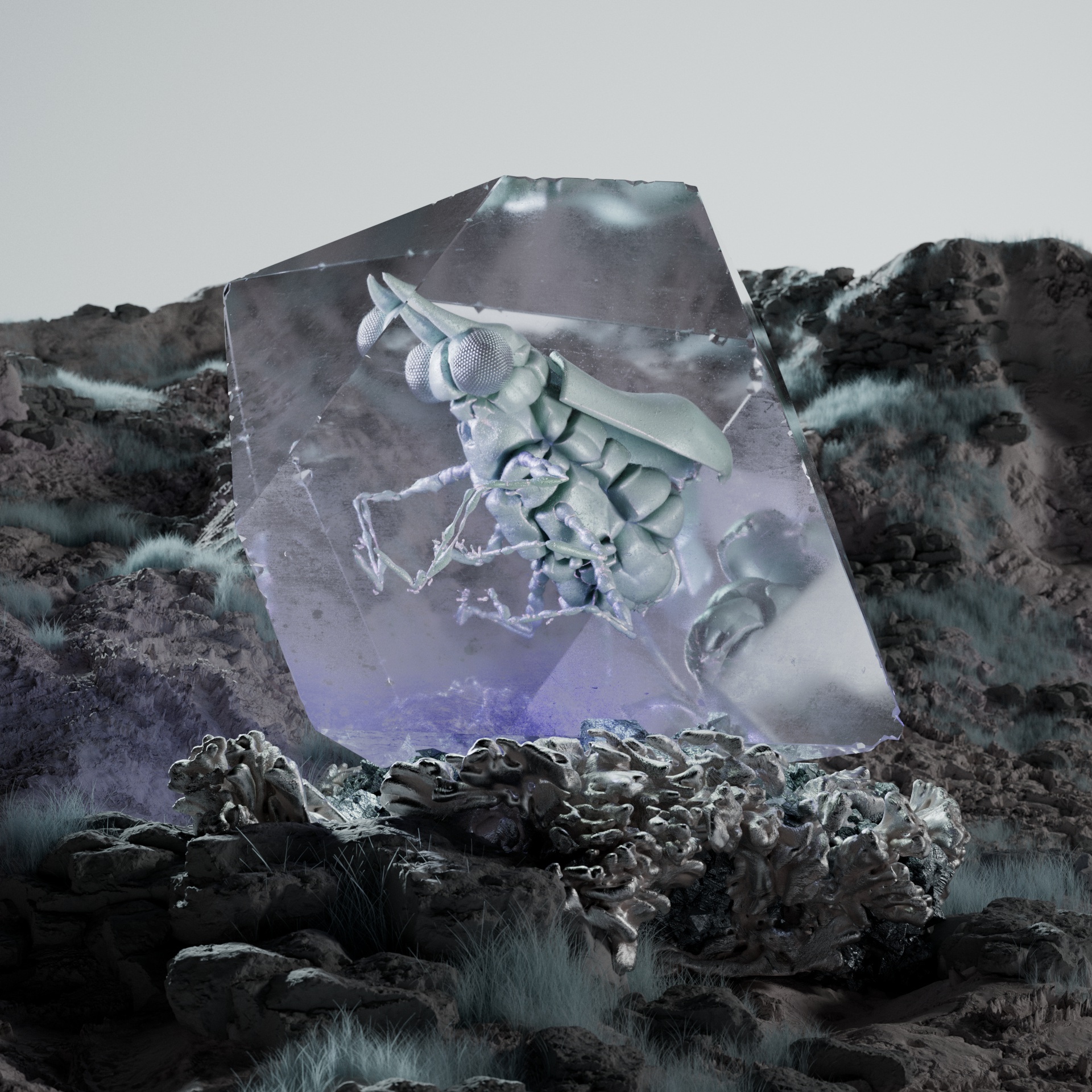 Anisopterasuperbus pardurnix
